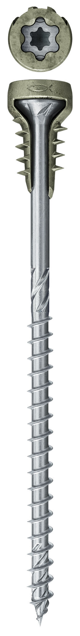 Adjustable screw FAF S